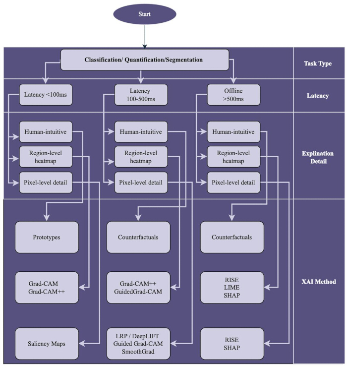 figure-protocol-11 Flowchart of XAI methods for classification and segmentation showing latency and explanation details.