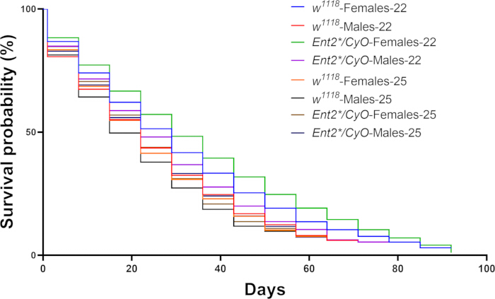 Survival probability graph; Kaplan-Meier plot; Drosophila lifespan comparison; genetic study results.