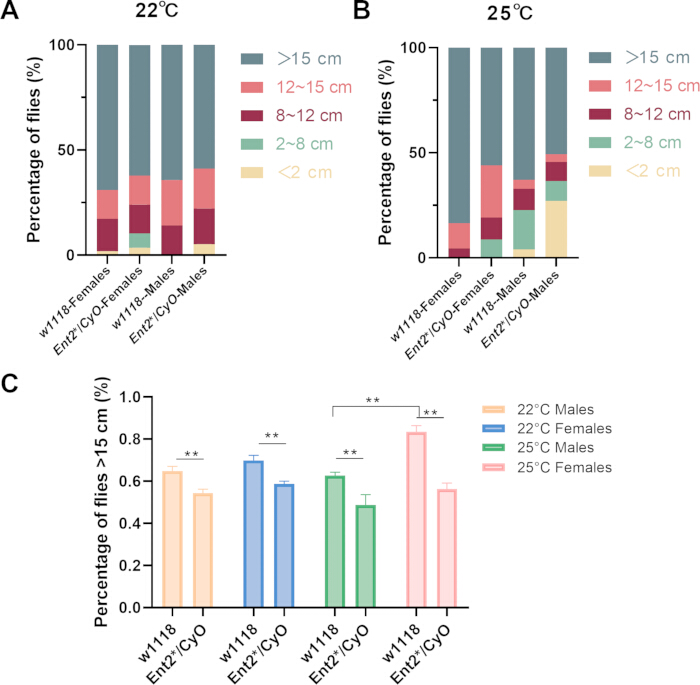 Fly locomotion analysis; bar charts; % traveled distance at 22°C/25°C; genotype comparisons; study.