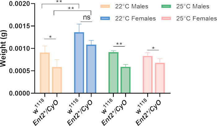 Fly weight comparison chart at different temperatures; statistical significance shown with asterisks.