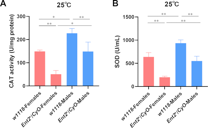 Catalase and SOD activity bar graphs; enzyme activity comparison of Drosophila genotypes at 25°C.