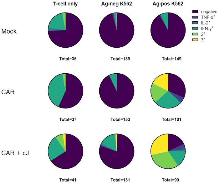 figure-results-3 T-cell cytokine expression pie charts, analyzing Mock, CAR, CAR + cJ responses across conditions.