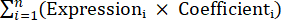 Mathematical summation equation Σ(Expression × Coefficient) with indices, formula presentation.