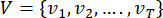 Static vector set equation V={v1,v2,...,vT}, mathematical formula representation.