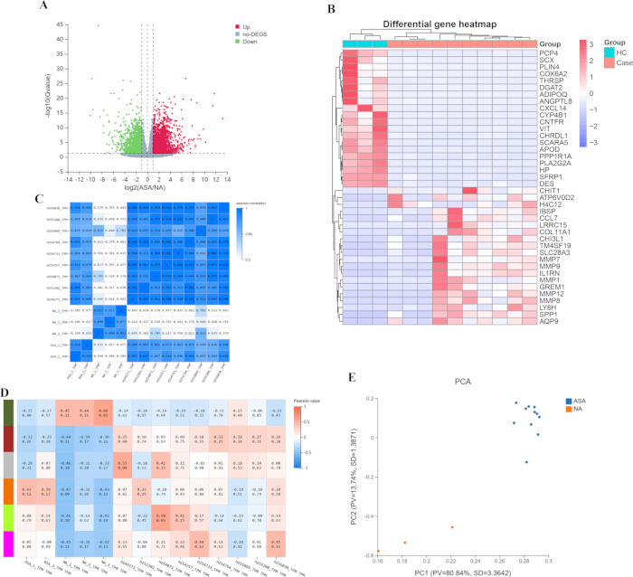 figure-results-1 Gene expression analysis: volcano plot, gene heatmap, correlation heatmaps, PCA chart, data visualization.