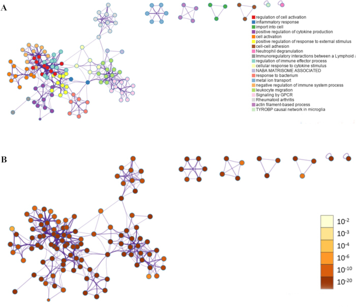 figure-results-4 Gene interaction network; graph analysis of immune response pathways; bioinformatics results.