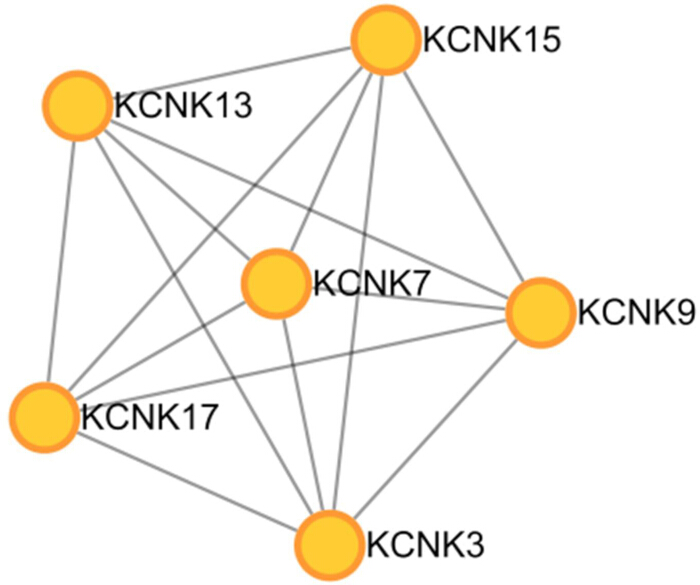 figure-results-5 Network diagram illustrating KCNK protein interactions.