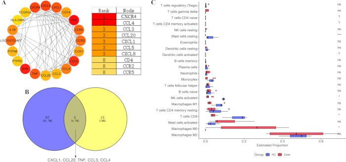 figure-results-6 Protein interaction network diagram, Venn diagram analysis, and immune cell proportion bar chart.