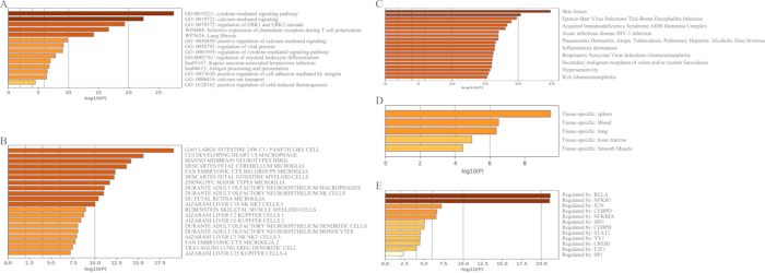figure-results-7 Bar charts depicting gene ontology and pathway analysis; segmented by categories A-E; data comparison.