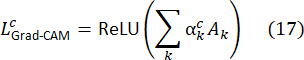 Gradient-weighted class activation mapping formula, ReLU ΣαkcAk, equation.