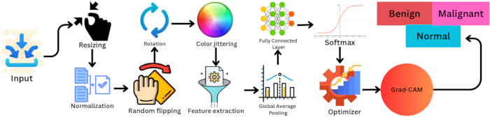 figure-protocol-2 Deep learning workflow diagram with preprocessing, feature extraction, classification, Grad-CAM.