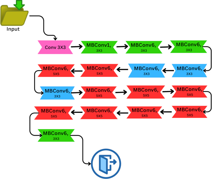 figure-protocol-10 Neural network architecture diagram using MBConv layers for image processing optimization.