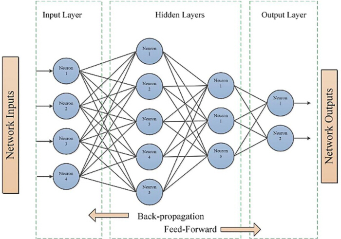 figure-protocol-7 Neural network diagram showing input, hidden, output layers; feed-forward, back-propagation processes.