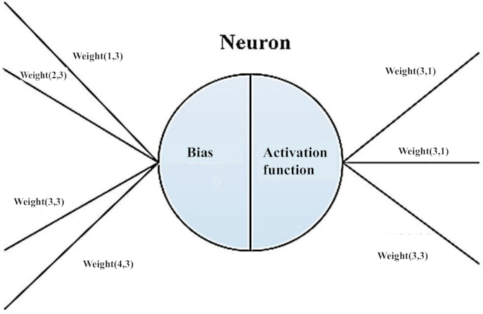 figure-protocol-8 Neuron diagram with bias, activation function, weight inputs and outputs for neural network study.