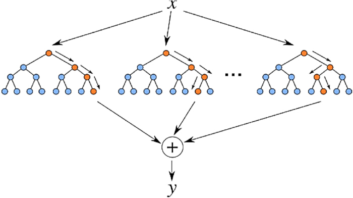 figure-protocol-9 Hierarchical model diagram illustrating computational graph, process flow from variable x to y.
