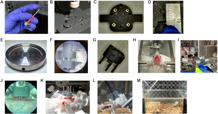 Neuroscience research equipment and procedures; stereotaxic apparatus, microsurgery tools, specimen setup.