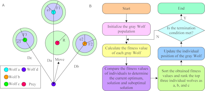 figure-protocol-1 Gray Wolf Optimization diagram; process flowchart and symbolic representation of algorithm steps.