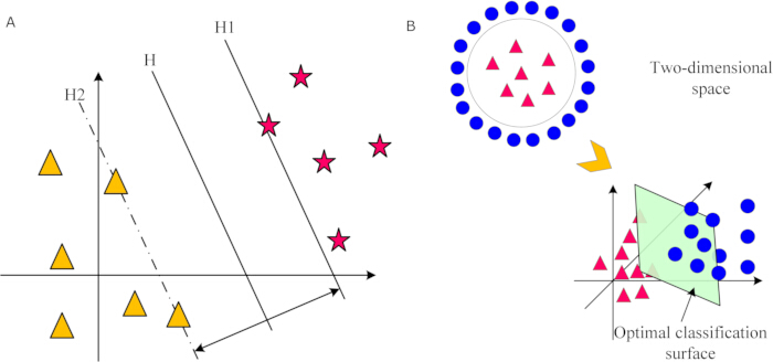 figure-protocol-32 Support Vector Machine diagram illustrating classification in two-dimensional space; optimal surface.