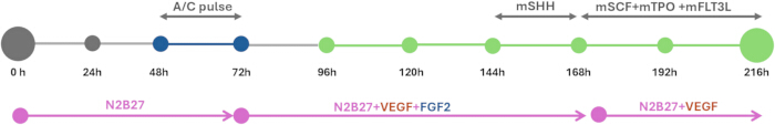 figure-protocol-1 figure-protocol-1