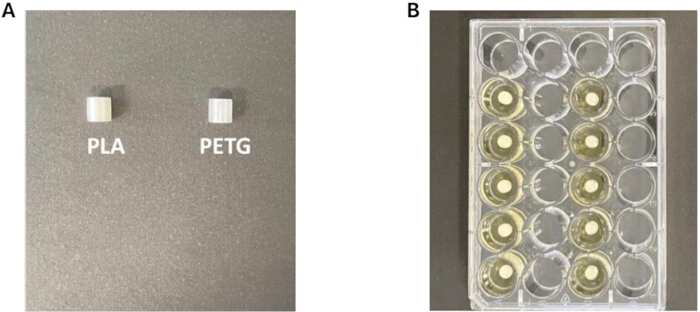 figure-protocol-1 PLA and PETG samples next to a multi-well plate; material testing experiment setup.