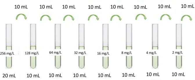 figure-protocol-1 Serial dilution diagram for concentration reduction; method decreasing solute mg/L across test tubes.