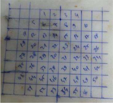 figure-protocol-2 Magic square grid diagram, numerical pattern, used in mathematical analysis, visualization tool.