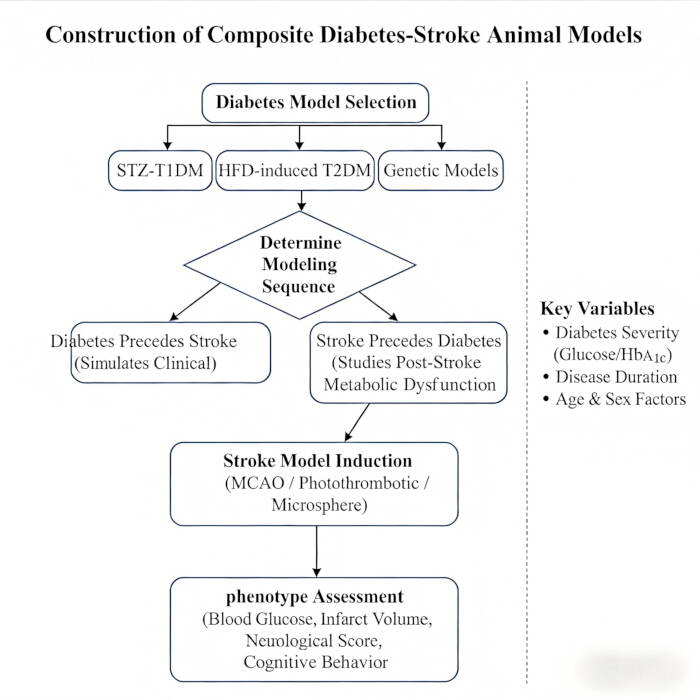 figure-results-4 Composite diabetes-stroke model diagram; process includes diabetes model, stroke induction, assessment.