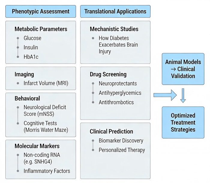 figure-results-5 Phenotypic assessment, translational applications diagram; metabolic parameters, drug screening.