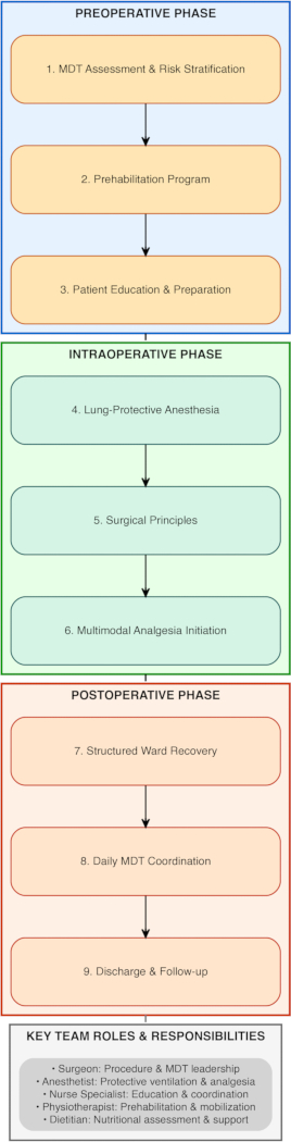 figure-results-1 Preoperative to postoperative care process diagram; anesthesia, surgery principles, discharge steps.