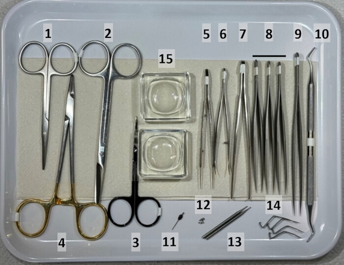 Dissection tools set, scalpel, scissors, forceps, glass dishes, lab instruments used in anatomy study.