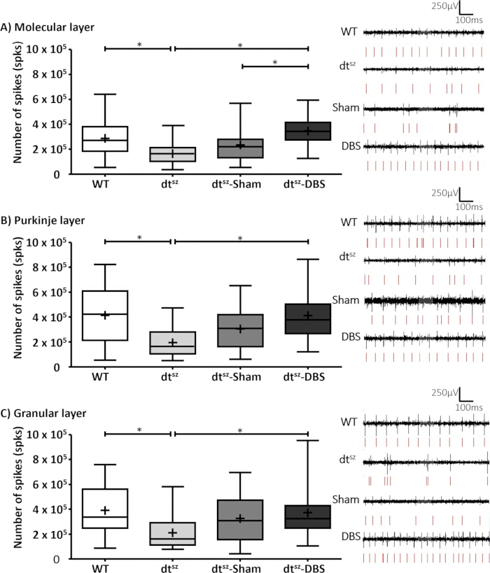 Neural spike count comparison in brain layers; box plots with electrophysiology waveforms.