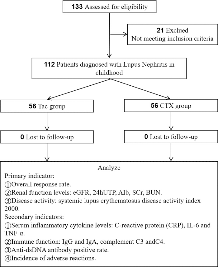 figure-protocol-1 Lupus nephritis study flowchart; patient groups; primary and secondary outcome indicators.