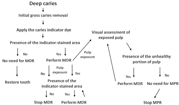 figure-protocol-1 Deep caries treatment flowchart; steps include caries removal, dye application, pulp assessment.