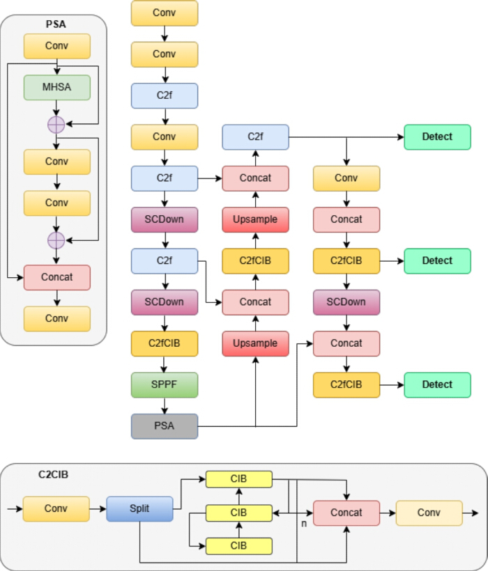 figure-protocol-1 Neural network architecture diagram; convolution process with MHSA, C2f, PSA modules, detection path.