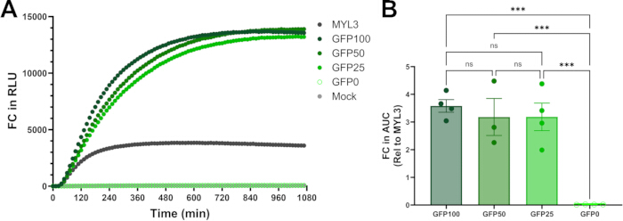 Fluorescence assay results; graph and bar chart showing protein expression levels over time and comparison.