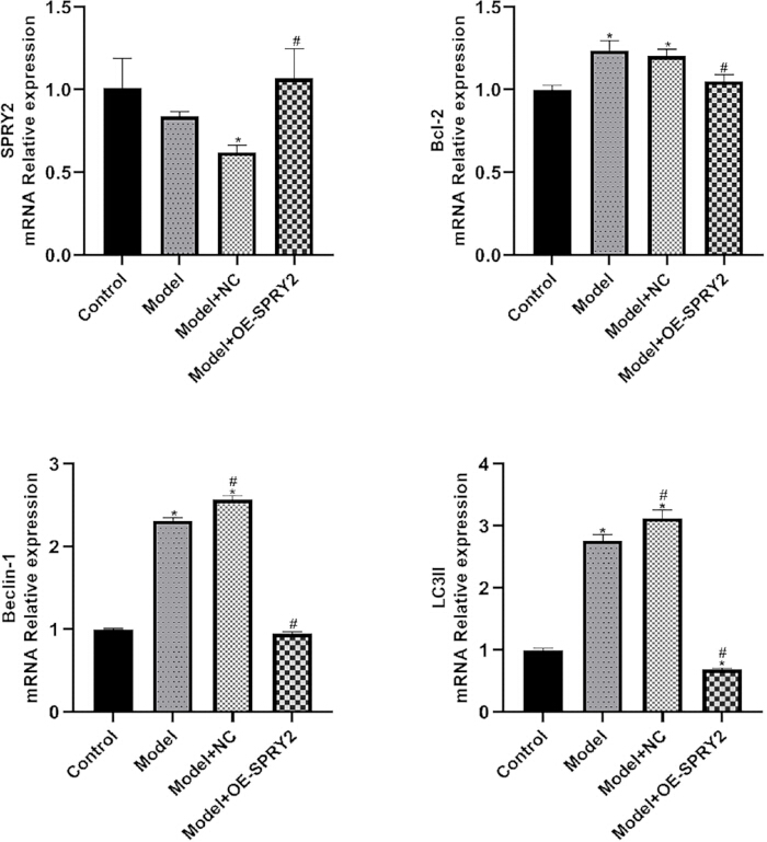 figure-results-3 Bar graphs showing mRNA expression of SPRY2, Bcl-2, Beclin-1, LC3II; comparative gene analysis.