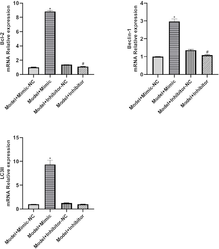 figure-results-4 Bar charts of mRNA expression levels for BCL-2, Beclin-1, LC3 in different treatment groups.