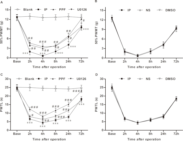 Pain threshold analysis graphs, post-surgery, time vs PWT/50% PWMT, data comparison across treatments.