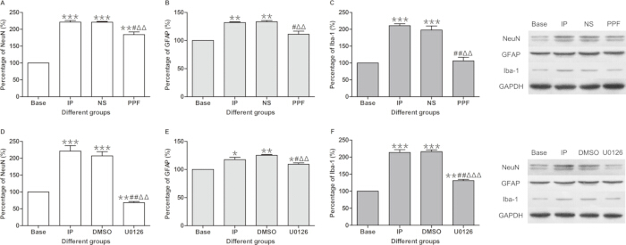 Bar charts and Western blot results showing protein expression levels across different test groups.