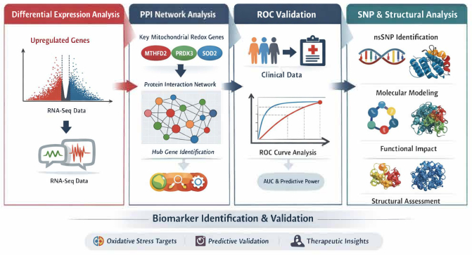 figure-protocol-1 Differential expression analysis graph, network, ROC curve, and SNP modeling for biomarker validation.