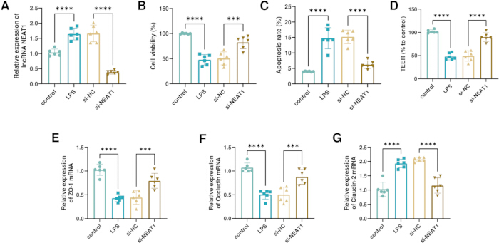 figure-results-2 Bar chart analysis of gene expression, cell viability, apoptosis rate; experimental results comparison.