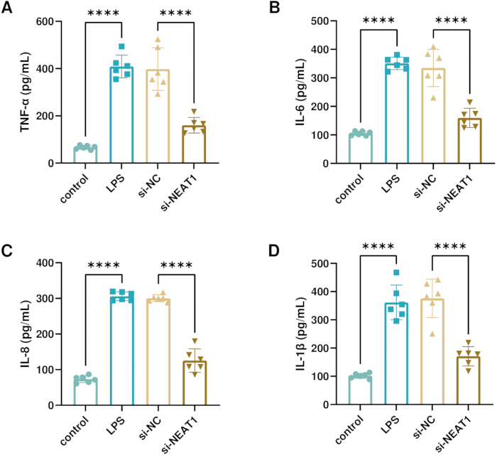figure-results-3 Bar graph analyzing cytokine levels: TNF-α, IL-6, IL-8, IL-1β; treatments include LPS, si-NC, si-NEAT1.