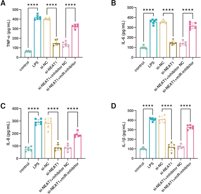 figure-results-6 Bar charts showing cytokine levels (TNF-α, IL-6, IL-8, IL-1β) in si-NEAT1 inhibition assay.