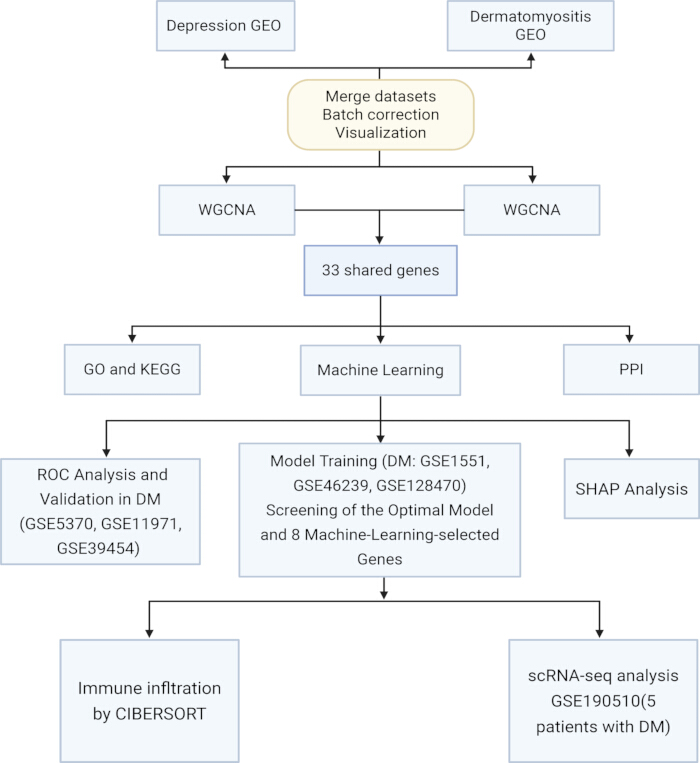 Gene selection process for depression and dermatomyositis using WGCNA; flowchart diagram.