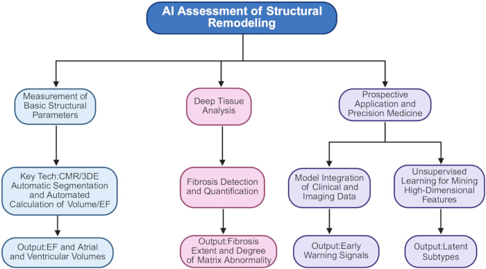 figure-protocol-1 AI structural remodeling assessment diagram; analysis methods, fibrosis detection, data integration.