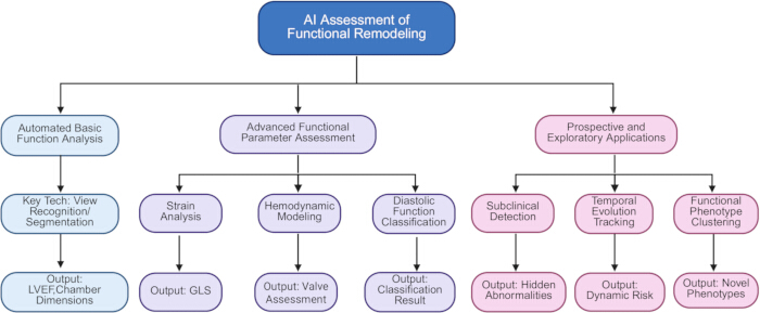 figure-protocol-2 AI functional remodeling assessment diagram; includes function analysis, hemodynamic modeling, phenotyping.