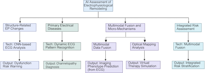 figure-protocol-3 AI assessment of electrophysiological remodeling diagram; CNN-based ECG, optical mapping analysis.