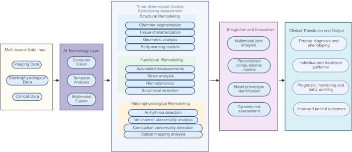 figure-protocol-4 Three-dimensional cardiac remodeling assessment diagram using AI for diagnosis and treatment.