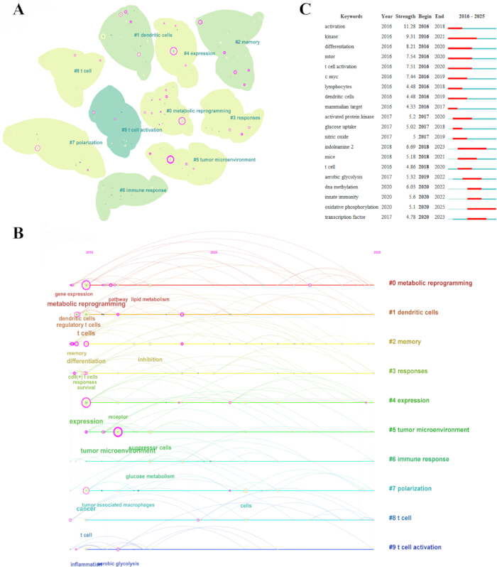figure-results-10 Cell activation network diagram; shows metabolic reprogramming, dendritic cells; gene expression chart.
