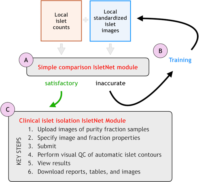 figure-introduction-1 IsletNet module process diagram; local islet data, QC of islet contours, clinical isolation steps.